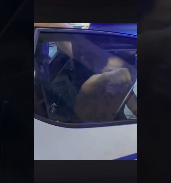 Ecco tre varianti del titolo originale, ognuna con un tono diverso come specificato. Ho mantenuto i fatti invariati (un uomo pericoloso arrestato dalla polizia a Napoli) e rispettato i limiti di caratteri (tutti sotto 60).

Tono neutro: Polizia arresta uomo pericoloso a Napoli (38 caratteri)  
Tono ironico leggero: Ancora un “pericoloso” in manette a Napoli (40 caratteri)  
Tono polemico sobrio: Ennesimo arresto per rischio a Napoli: interviene polizia (52 caratteri)
