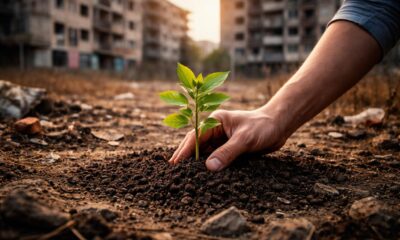 Quarticciolo: la sfida della riqualificazione tra aspettative e realtà