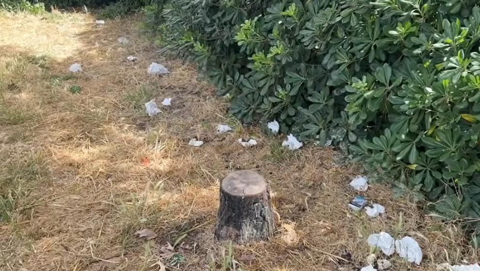 Roma, alla Nuvola aiuole e marciapiedi nel degrado. FdI e Lega: ”Immagini reali che non si vedono sulle cartoline”