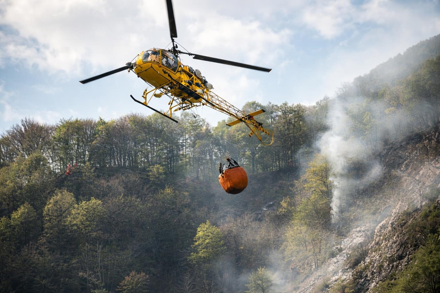 Incendio a Castel Fusano: un segnale d’allerta per l’ambiente e la sicurezza dei cittadini