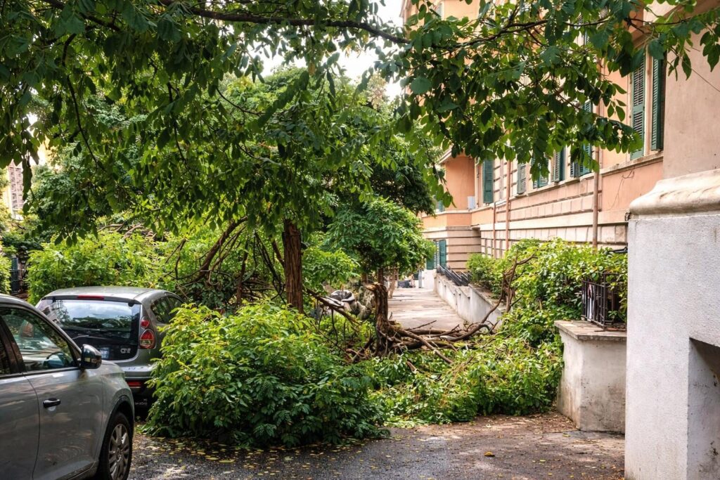 Roma nel caos: la furia del maltempo provoca danni e paure in città