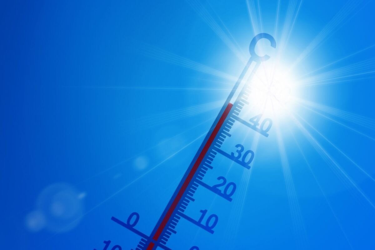 Caldo torrido a Roma: emergenza clima o fallimento delle istituzioni?