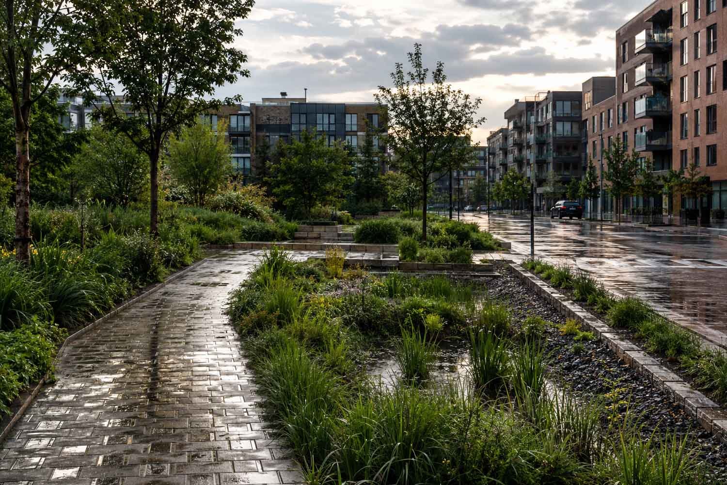 Città spugna: la soluzione per salvare Roma dagli allagamenti?