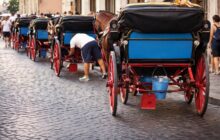 Botticelle a Roma, un’ordinanza che minaccia tradizione e turismo: cosa cambia davvero?