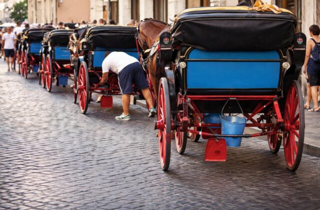 Botticelle a Roma, un’ordinanza che minaccia tradizione e turismo: cosa cambia davvero?