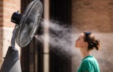 Caldo estremo a Roma: il virus West Nile potrebbe essere solo l’inizio
