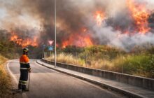Incendi a Monterotondo: il fallimento delle istituzioni nella gestione delle emergenze