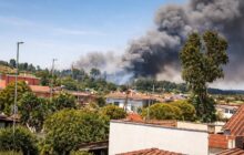 Incendio devastante tra Ponte Galeria e Muratella: evacuate famiglie e animali