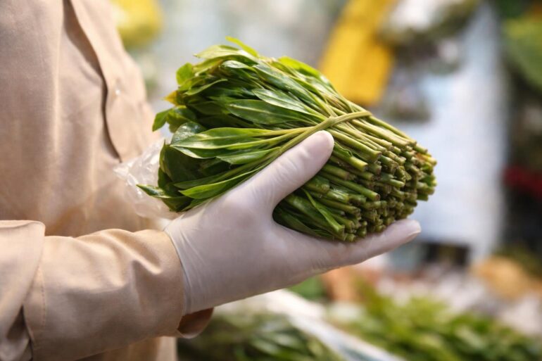 Khat all’aeroporto di Fiumicino: oltre il sequestro, cosa ci dice sulla nostra società?