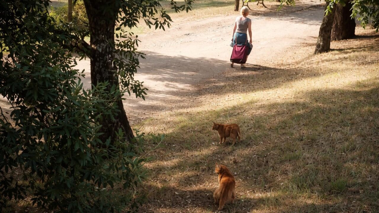 La comunità di Roma si stringe attorno alla figura di Franca, la donna dei gatti