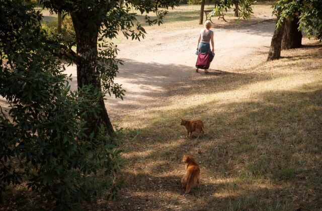 La comunità di Roma si stringe attorno alla figura di Franca, la donna dei gatti