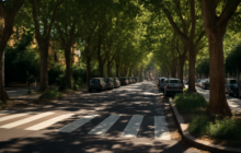 Quando l’ombra diventa infrastruttura: verde, microclimi e acqua per vivere l’estate a Roma