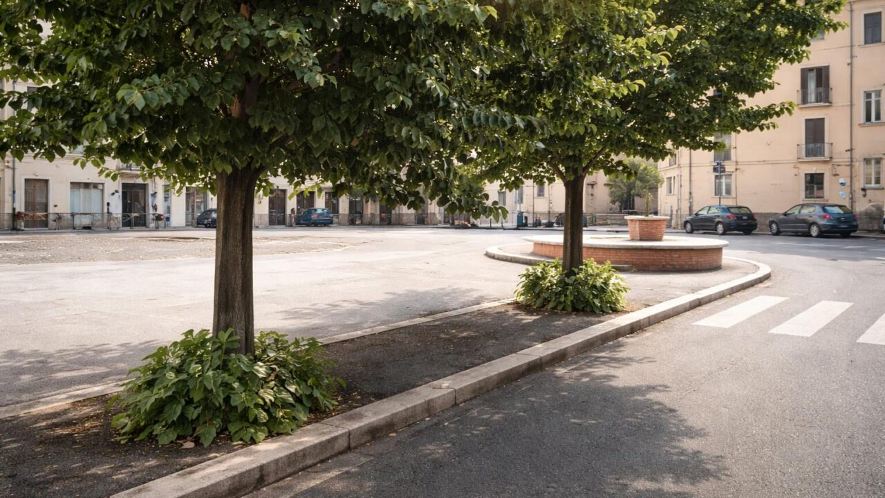 Monterotondo: abbattimento degli alberi per un parcheggio privato, quale futuro per l’ambiente?