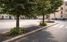 Monterotondo: abbattimento degli alberi per un parcheggio privato, quale futuro per l’ambiente?