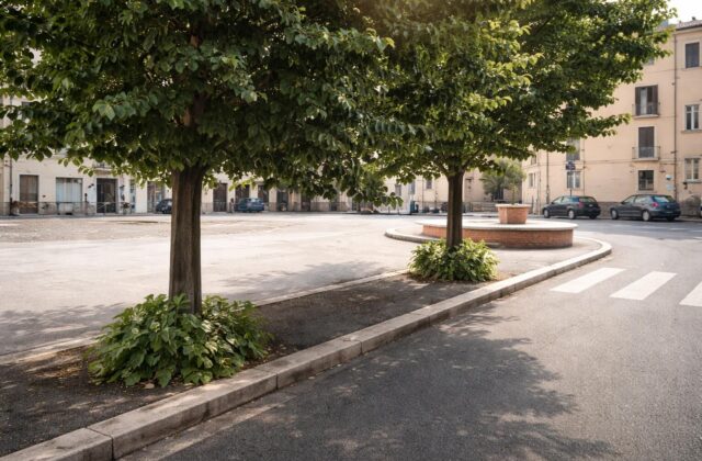 Monterotondo: abbattimento degli alberi per un parcheggio privato, quale futuro per l’ambiente?