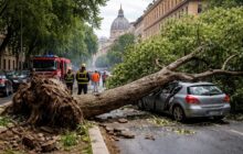 Roma: il grido d’allerta di Perissa sul verde urbano, serve un cambio di rotta!