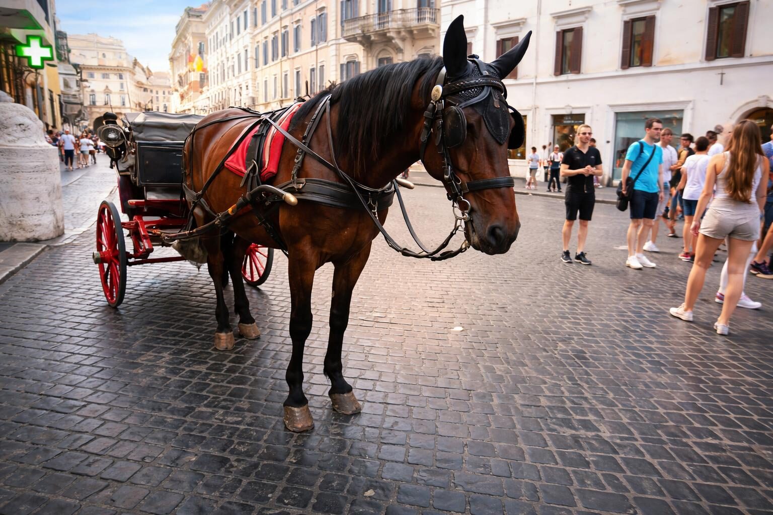 Roma in crisi: botticelle fermate e statua di Menotti umiliata, cosa ci dicono questi eventi sulla nostra città?