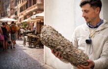 Roma sotto assedio: la vespa germanica invade i ristoranti di lusso