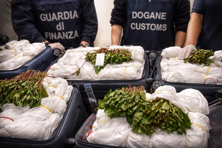 Sequestro di khat a Fiumicino: un colpo duro al traffico internazionale di droga