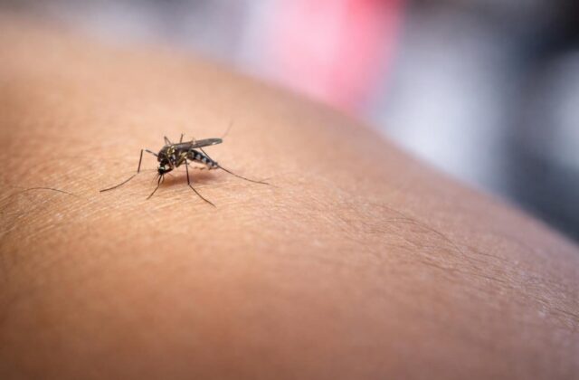 Virus West Nile nel Lazio: un allarme che mette a nudo la preparazione del sistema sanitario
