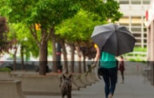 Allerta gialla a Roma il 21 agosto: vento e pioggia, come muoversi in città