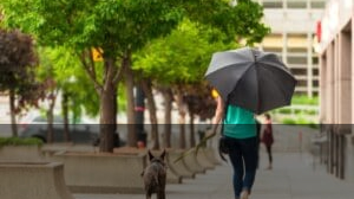 Allerta gialla a Roma il 21 agosto: vento e pioggia, come muoversi in città