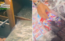 Camper con 400 kg di hashish a Nettuno: il marchio ‘Pokémon’ scopre una rotta consolidata verso il litorale romano