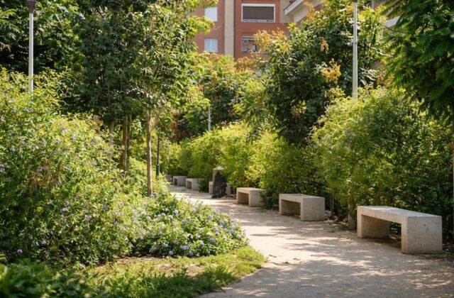 Emergenza Caldo a Roma: Le Strategie dell’Amministrazione per un Verde Resiliente