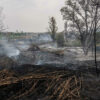 Fiamme al Parco dell’Aniene: il Ponte Nomentano espone le falle nella cura del verde Fiamme al Parco dell’Aniene: il Ponte Nomentano espone le falle nella cura del verde