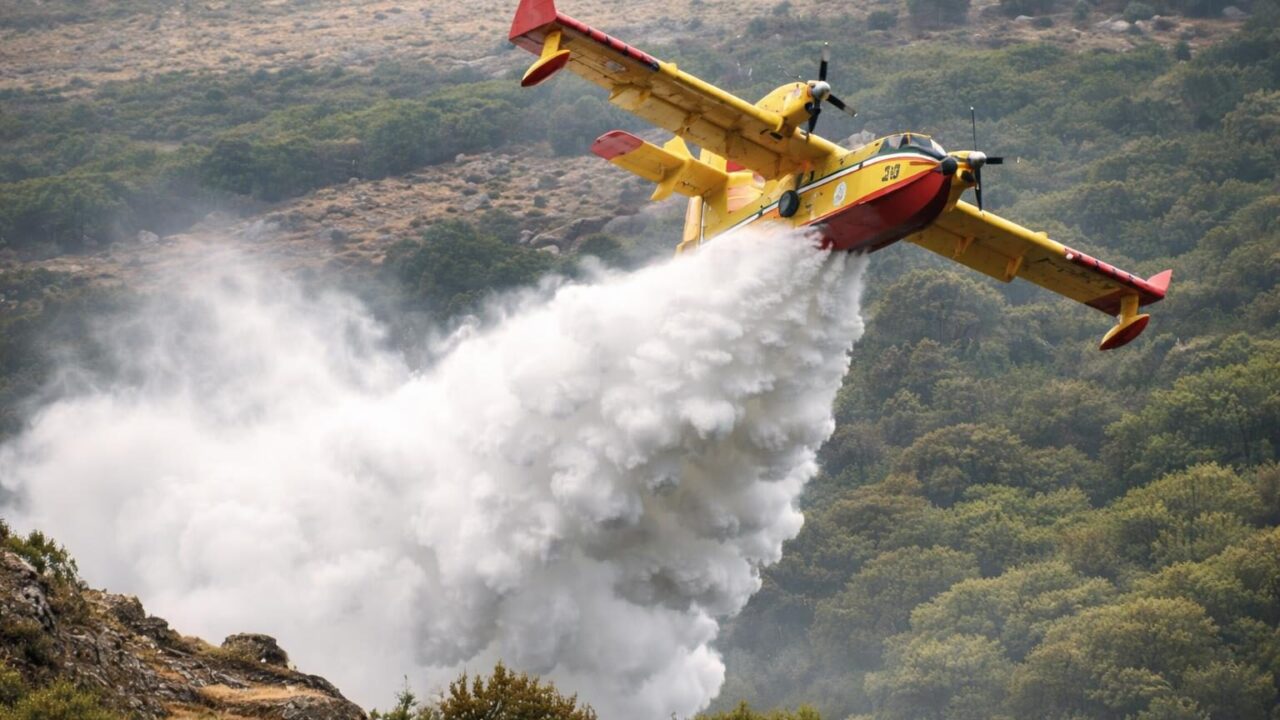 Incendi a Cerveteri e Santa Marinella: Emergenza che Chiede Riflessione sulla Sicurezza Ambientale