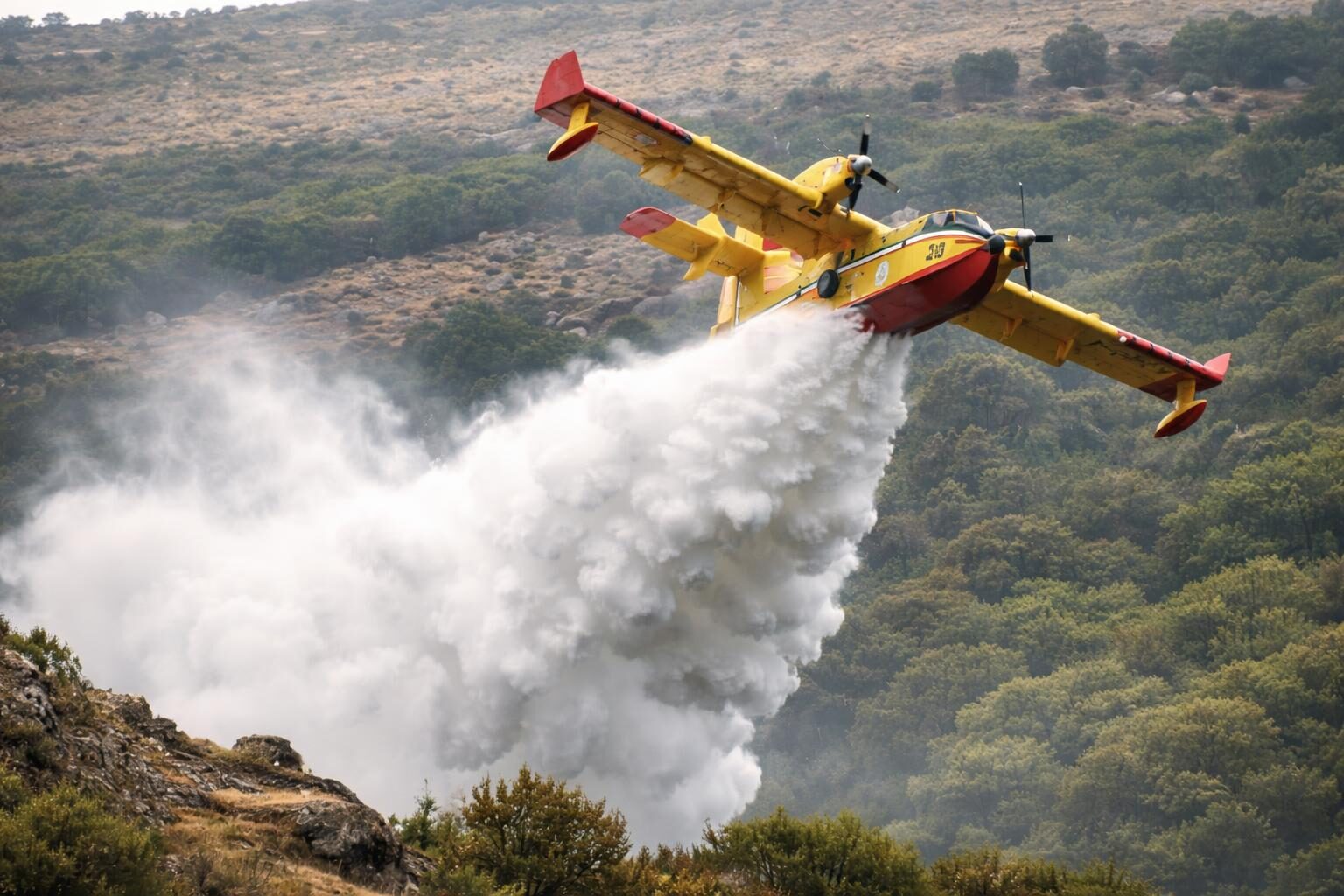Incendi a Cerveteri e Santa Marinella: Emergenza che Chiede Riflessione sulla Sicurezza Ambientale