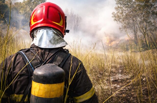 Incendi a Roma: Fiamme e Dolo Sospetto Svelano Fragilità della Rete Ferroviaria