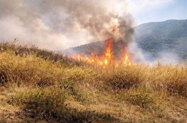 Incendi sul Monte Tuscolo: la storia si ripete, ma chi paga il prezzo?