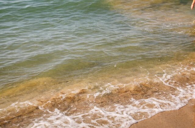 Macchie Gialle in Mare: Allerta da Anzio a Torvaianica, Salute a Rischio?