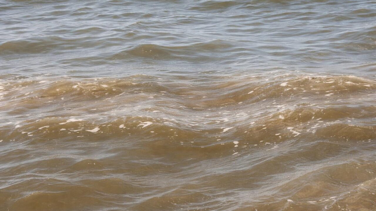 Mare da Sogno a Sospetto: Il Mistero del Mare Marrone nel Lazio