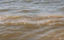 Mare da Sogno a Sospetto: Il Mistero del Mare Marrone nel Lazio
