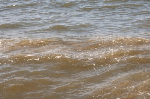Mare da Sogno a Sospetto: Il Mistero del Mare Marrone nel Lazio
