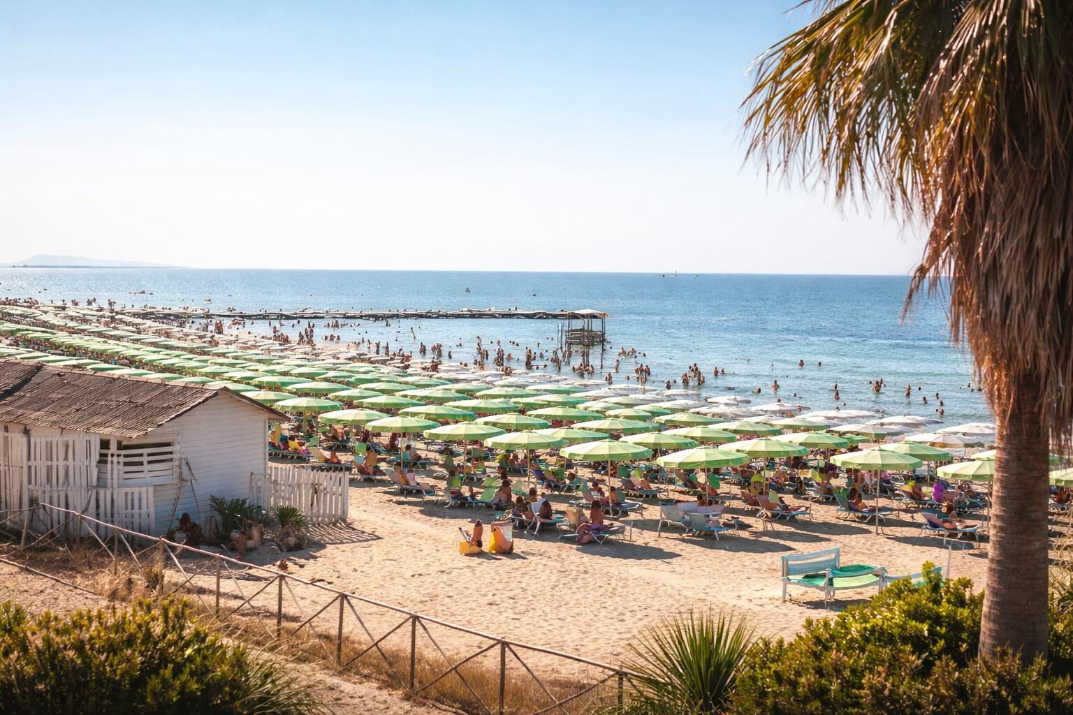 Maxirissa a Nettuno Beach: un episodio di violenza che scuote la riviera