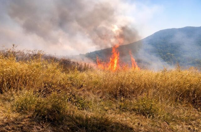 Monte Tuscolo in fiamme: è tempo di una strategia contro gli incendi?