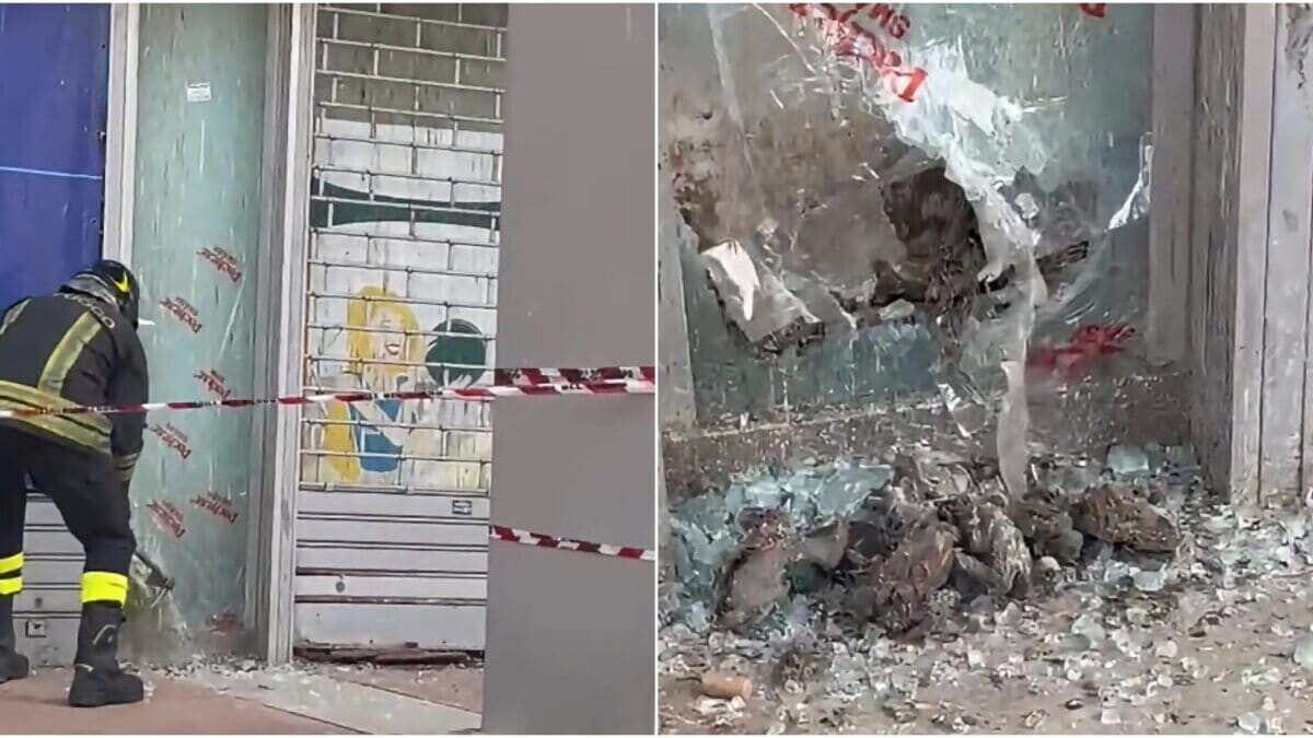 Parco Leonardo, decine di piccioni morti nei negozi abbandonati: allarme igienico e richiesta di messa in sicurezza