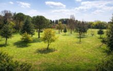 Riserva dell’Aniene all’asta: è ora di difendere il nostro patrimonio ecologico?