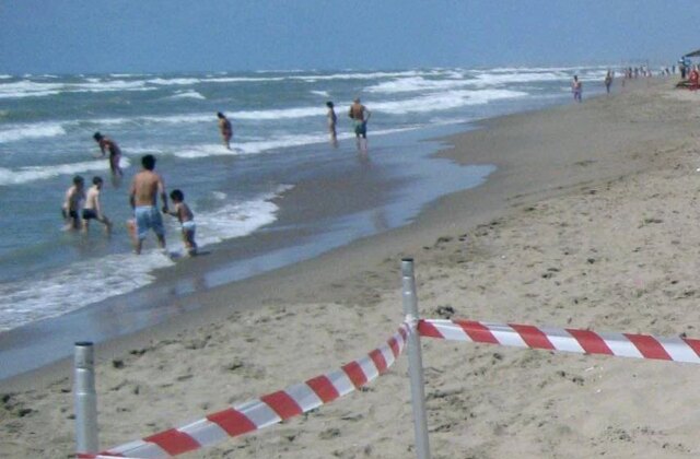 Moria di pesci a Torvajanica e Ardea, controlli ﻿sul litorale