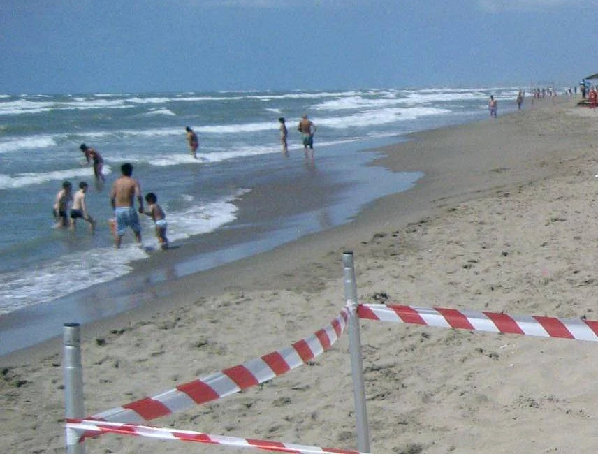 Moria di pesci a Torvajanica e Ardea, controlli ﻿sul litorale