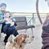 300.000 euro e un ‘guru’: la pista economica dietro la strage familiare a Roma 300.000 euro e un ‘guru’: la pista economica dietro la strage familiare a Roma