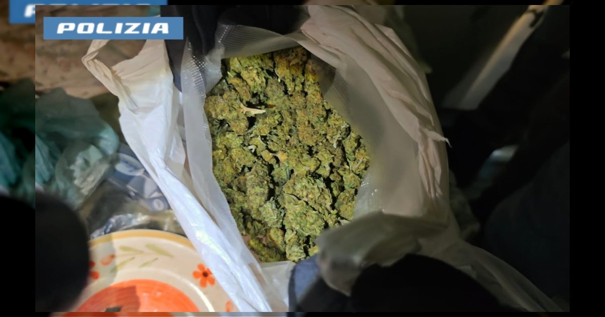 Roma: segnalazione di furto fa emergere serra ‘homemade’ di hashish e marijuana; una donna arrestata