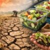 IV Gamma, allarme clima: caldo e siccità riducono fino al 30-40% la disponibilità di materie prime