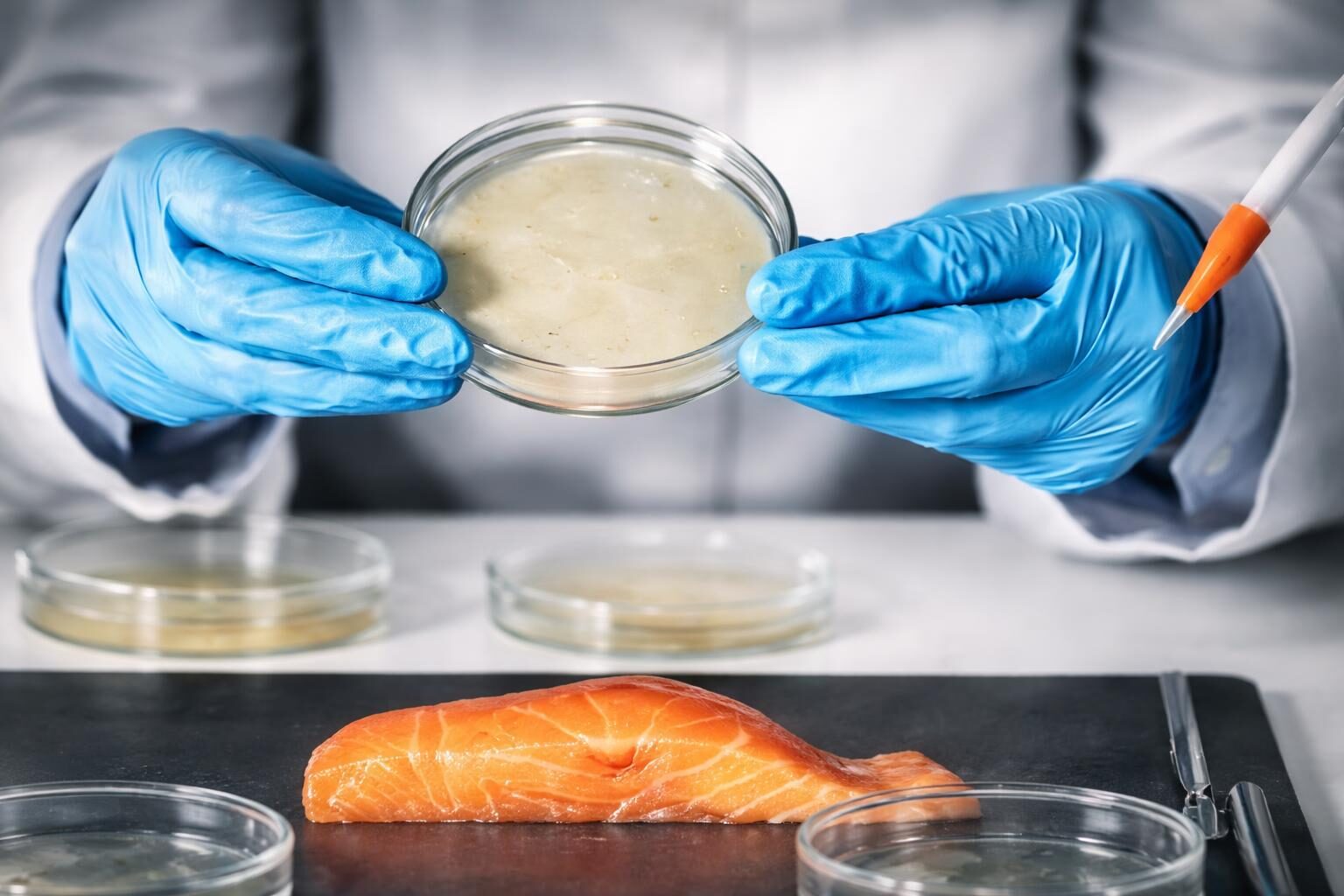 Salmonella e cenoni: è ora di fare chiarezza sulla sicurezza alimentare a Latina?