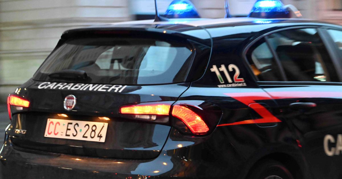 Due turisti cechi denunciati per furto e danneggiamento a Palazzo Madama: tentativo di rimuovere la targa da un’auto in sosta