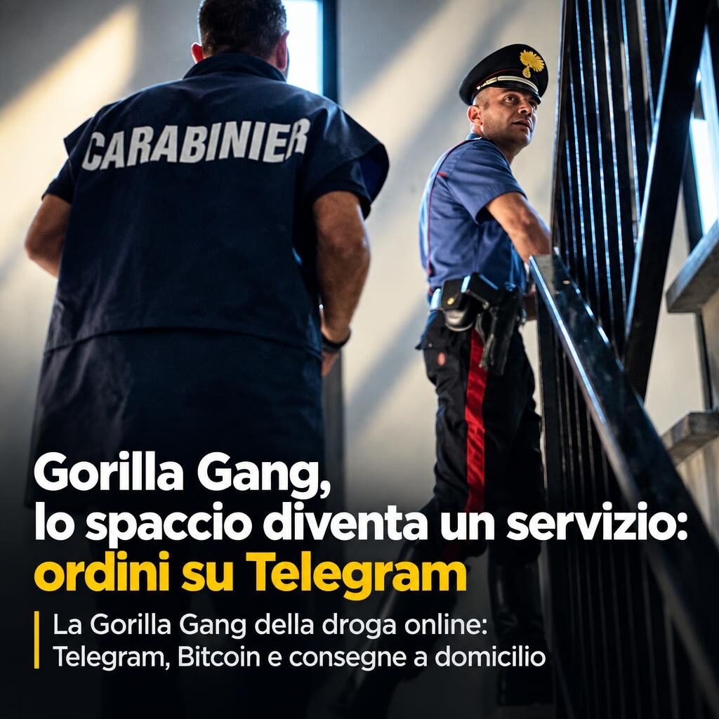 Gorilla Gang, lo spaccio diventa un servizio: ordini su Telegram