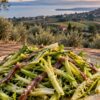 Montefiascone e la Tuscia viterbese: puntarelle e acciughe tra colline, ulivi e campagna